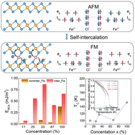 Graphical abstract: Tailoring interlayer magnetic coupling to modify the magnetic properties of FeCl2 bilayers by self-intercalation