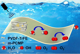 Graphical abstract: Boosting photocatalytic removal of organic pollutants through enhanced piezoelectricity in free-standing nanofibril pyridyl-functionalized conjugated microporous polymer/poly(vinylidene fluoride–trifluoroethylene) hybrids