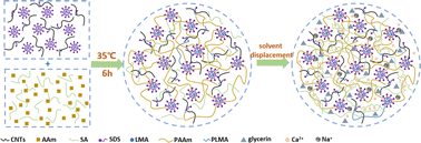 Graphical abstract: Carbon nanotube-enhanced nanocomposite organohydrogel based on a physically cross-linked double network for sensitive wearable sensors