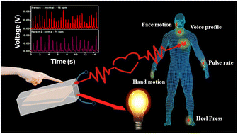 Graphical abstract: Piezoelectric nanogenerator induced work function on a metal phenolic coordination framework from copper oxide nanospheres for efficient biomechanical energy harvesting and physiological monitoring