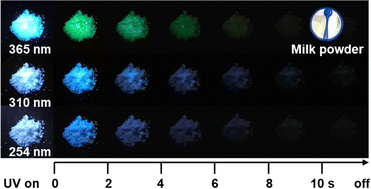 Graphical abstract: Natural hybrid-mediated long-lived room temperature phosphorescence of milk powder