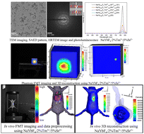 Graphical abstract: Water-soluble Cit-NaYbF4:Tm3+ with enhanced 802 nm emission by Sr2+ ion doping for in vivo fluorescence molecular tomography