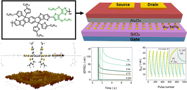 Graphical abstract: Organic memory devices and synaptic simulation based on indacenodithienothiophene (IDTT) copolymers with improved planarity