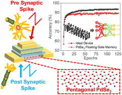 Graphical abstract: A pentagonal 2D layered PdSe2-based synaptic device with a graphene floating gate