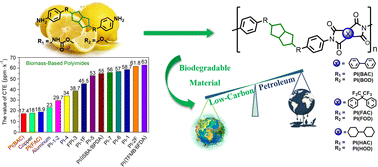 Graphical abstract: Preparation, characterization, and bio-degradation studies of high-performance bio-based polyimides based on bicyclic diamines derived from citric acid