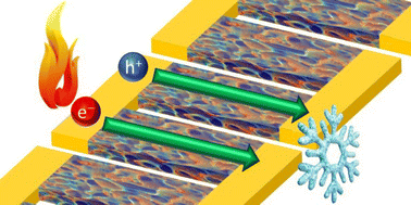 Graphical abstract: P- and N-dopable ambipolar bulk heterojunction thermoelectrics based on ladder-type conjugated polymers