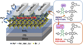 Graphical abstract: Benzotriazole based polymers with different side chains employed as dopant-free hole-transporting materials for high-efficiency perovskite solar cells