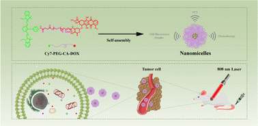 Graphical abstract: pH-Responsive nanomicelles for breast cancer near-infrared fluorescence imaging and chemo/photothermal therapy