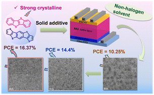 Graphical abstract: Solid additive-assisted morphology optimization enables efficient nonhalogen solvent-processed polymer solar cells