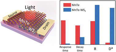 Graphical abstract: Growth modulation of nonlayered 2D-MnTe and MnTe/WS2 heterojunctions for high-performance photodetectors