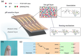 Graphical abstract: Flexible pH sensors based on OECTs with a BTB dye-embedded ion-gel gate dielectric