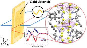 Graphical abstract: Origin of high piezoelectricity of a bismuth-based organic–inorganic hybrid crystal