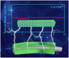 Graphical abstract: Superior CoO/SiC nanowire field emitters with substantially increased stable emission sites: ultralow turn-on field, high current density and high stability