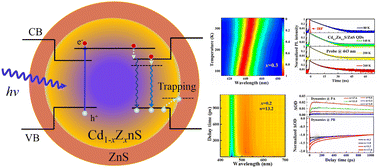 Graphical abstract: Composition effects on exciton recombination dynamics of blue-emitting alloyed Cd1−xZnxS/ZnS quantum dots