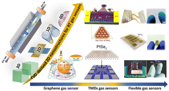 Graphical abstract: Strategic review on chemical vapor deposition technology-derived 2D material nanostructures for room-temperature gas sensors