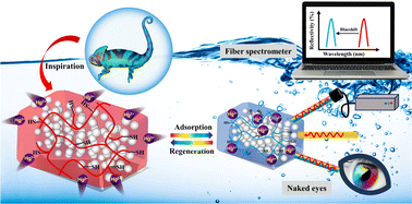 Graphical abstract: A cysteamine-functionalized biomimetic chromotropic hydrogel for naked-eye detection and adsorption of mercury ions