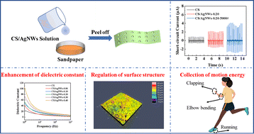 Graphical abstract: Preparation of a high-performance chitosan-based triboelectric nanogenerator by regulating the surface microstructure and dielectric constant