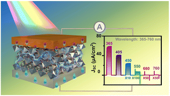 Graphical abstract: Bandgap-tuned barium bismuth niobate double perovskite for self-powered photodetectors with a full-spectrum response