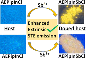 Graphical abstract: Intrinsic vs. extrinsic STE emission enhancement in ns2 ion doped metal (Cd, In) halide hybrids