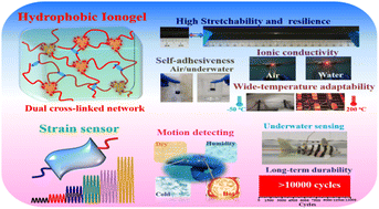 Graphical abstract: Highly stretchable, self-adhesive, ambient-stable, and wide-temperature adaptable hydrophobic ionogels for wearable strain sensors