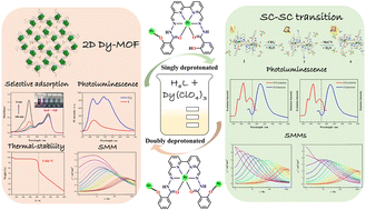Graphical abstract: From dinuclear to two-dimensional Dy(iii) complexes: single crystal–single crystal transformation and single-molecule magnetic behavior