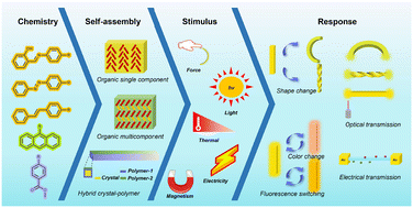 Graphical abstract: Stimuli-responsive flexible organic crystals