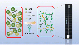 Graphical abstract: An ultrasound-induced MXene doped PAM–SA super-tough hydrogel