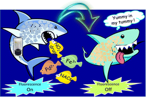 Graphical abstract: A chemically robust amine-grafted Zn(ii)-based smart supramolecular gel as a regenerative platform for trace discrimination of nitro-antibiotics and assorted environmental toxins