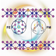 Graphical abstract: Tri-coordinated Au dopant induced out-of-plane ferroelectricity and enhanced ferromagnetism in chromium triiodide