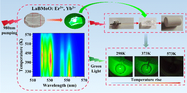 Graphical abstract: Optical temperature sensing with an Er3+, Yb3+ co-doped LaBMoO6 single crystal