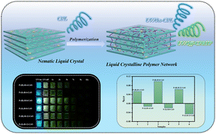 Graphical abstract: Circularly polarized organic room temperature phosphorescence activated by liquid crystalline polymer networks