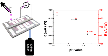 Graphical abstract: A pH-value sensitive and self-powered photodetector based on an anthocyanin/graphene heterojunction