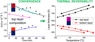 Graphical abstract: Equilibration and thermal reversibility in mixtures of model OPV small-molecules and polymers