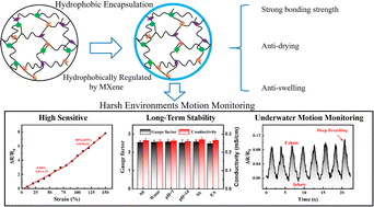 Graphical abstract: Tough hydrogel–elastomer hybrids hydrophobically regulated by an MXene for motion monitoring in harsh environments