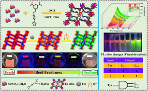 Graphical abstract: A lanthanide-MOF based host–guest intelligent dual-stimulus response platform for naked-eye and ratiometric fluorescence monitoring of food freshness