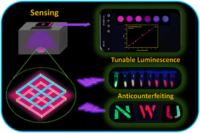 Graphical abstract: Multifunctional lanthanide MOFs with active sites as new platforms for smart sensing of methylmalonic acid and anti-counterfeiting applications