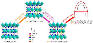 Graphical abstract: The sensitization effects of Nd3+ and Tm3+ to obtain enhanced 2.9 μm emission of Dy3+ in CaYAlO4 crystals