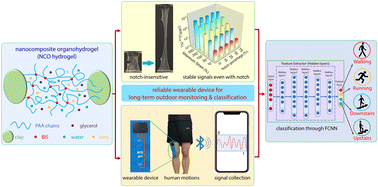 Graphical abstract: A facilely prepared notch-insensitive nanocomposite organohydrogel-based flexible wearable device for long-term outdoor human motion monitoring and recognition