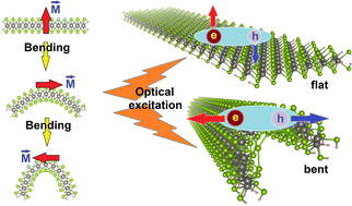 Graphical abstract: Spin-polarization anisotropy controlled by bending in tungsten diselenide nanoribbons and tunable excitonic states