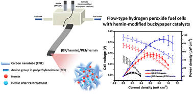 Graphical abstract: Flow-type hydrogen peroxide fuel cells with hemin-modified buckypaper catalysts