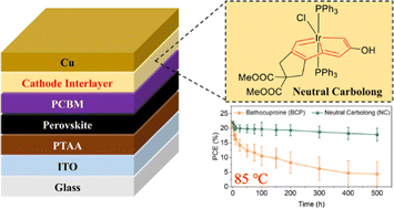 Graphical abstract: Interface engineering using a neutral carbolong complex for efficient and stable p–i–n perovskite solar cells