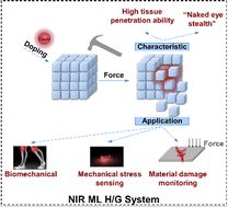 Graphical abstract: Realizing near-infrared mechanophosphorescence from an organic host/guest system