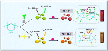 Graphical abstract: An efficient hierarchical self-assembly approach to construct structurally diverse two-step sequential energy-transfer artificial light-harvesting systems