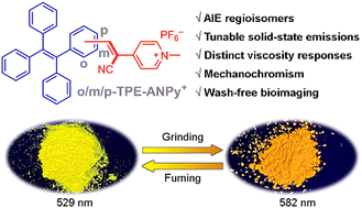 Graphical abstract: Cationic tetraphenylethylene-based AIE-active acrylonitriles: investigating the regioisomeric effect, mechanochromism, and wash-free bioimaging