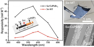 Graphical abstract: High performance and self-powered photodetectors based on Se/CsPbBr3 heterojunctions