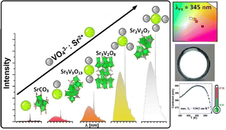 Graphical abstract: Structure-dependent luminescence of Eu3+-doped strontium vanadates synthesized with different V : Sr ratios – application in WLEDs and ultra-sensitive optical thermometry