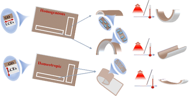 Graphical abstract: Photothermal responsive composites of graphene oxide/liquid crystal networks with different mesogenic arrangements towards flexible and bionic devices