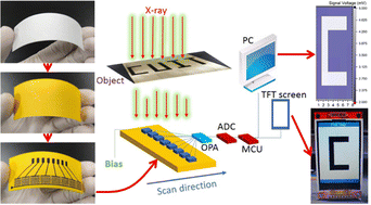 Graphical abstract: Nanocrystalline PbI2 coated on a cellulose fiber frame for paper-based flexible X-ray detection