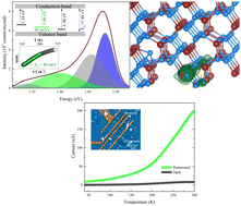 Graphical abstract: Polaron-assisted electronic transport in ZnP2 nanowires