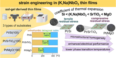 Graphical abstract: Stress induced effects on piezoelectric polycrystalline potassium sodium niobate thin films